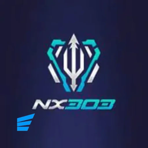 nx303